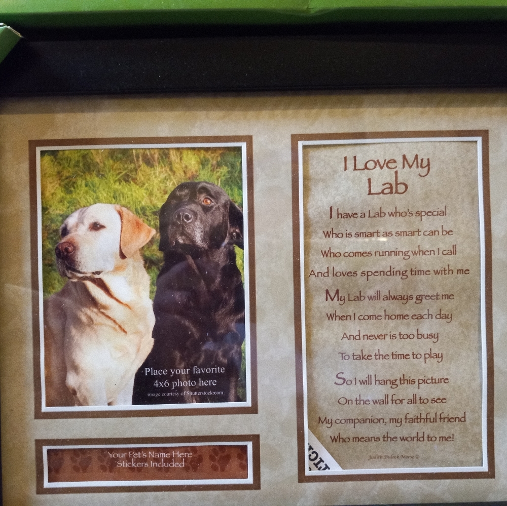 My Lab picture frame
